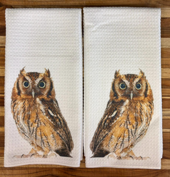 Great Horned Owl Dish Towels Set