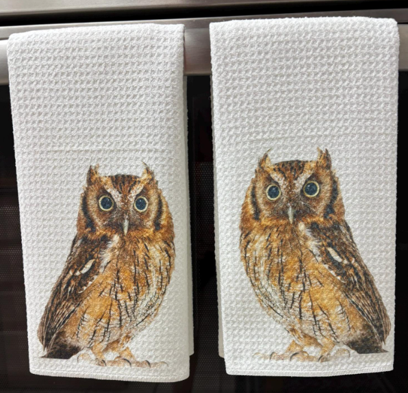 Great Horned Owl Dish Towels Set