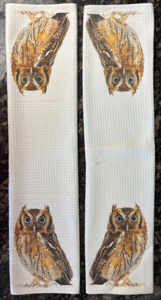 Great Horned Owl Dish Towels Set